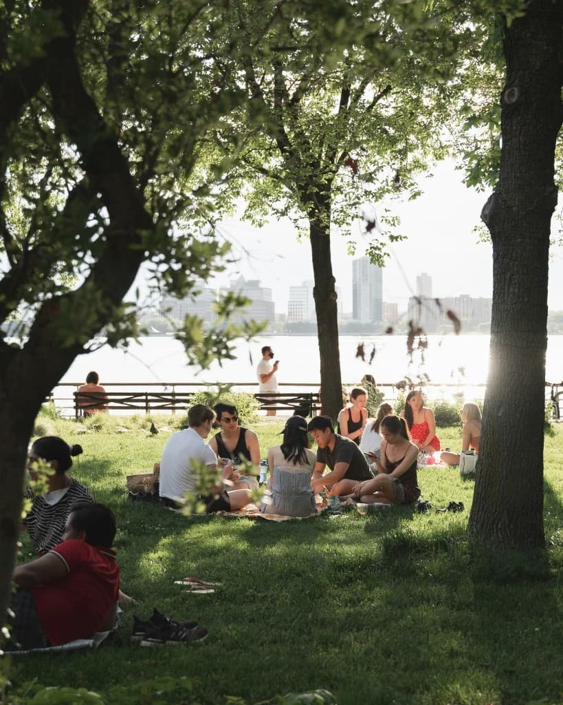 Outdoor picnic