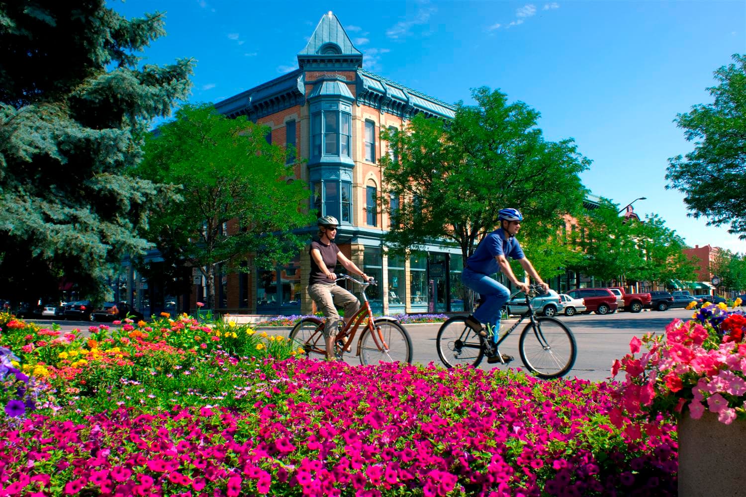 Fort Collins — vue illustrative