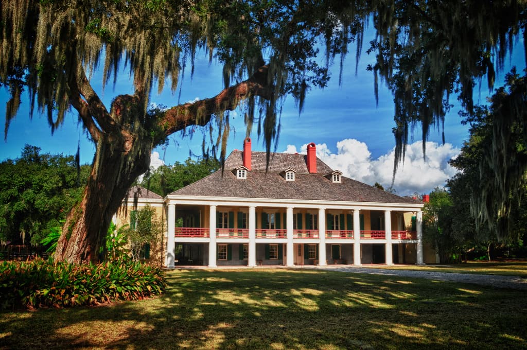 Plantation — illustrative view