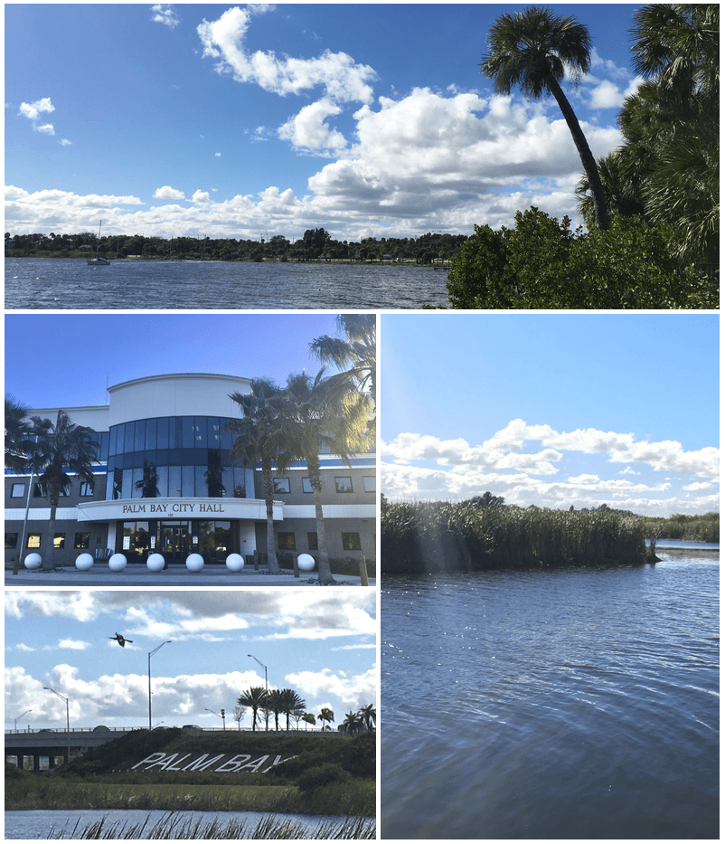 Palm Bay — illustrative view
