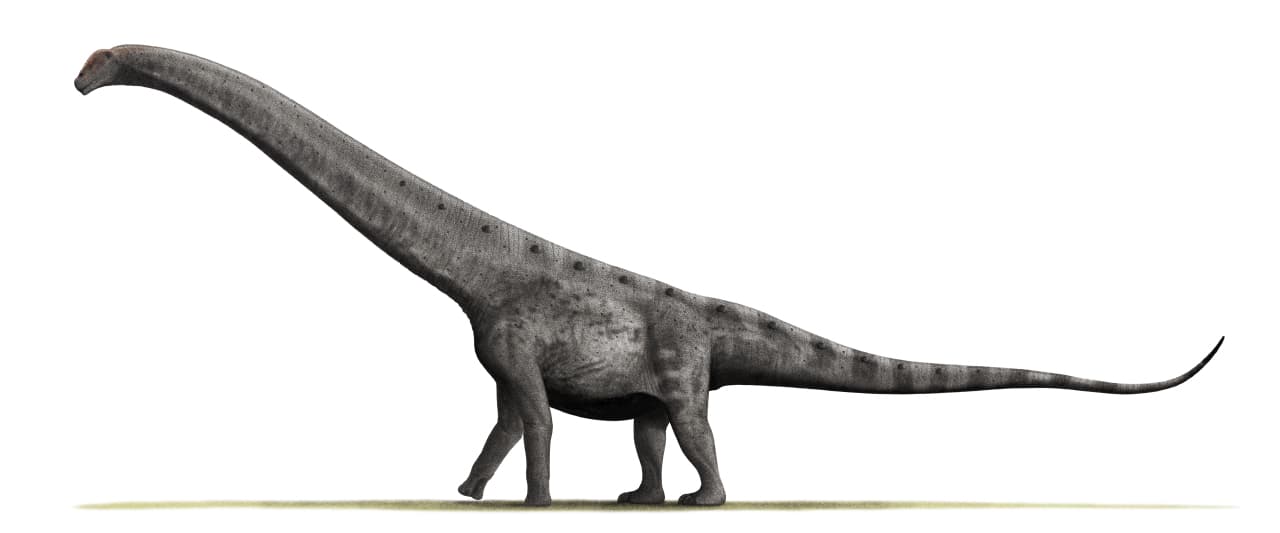 Neuquén — illustrative view