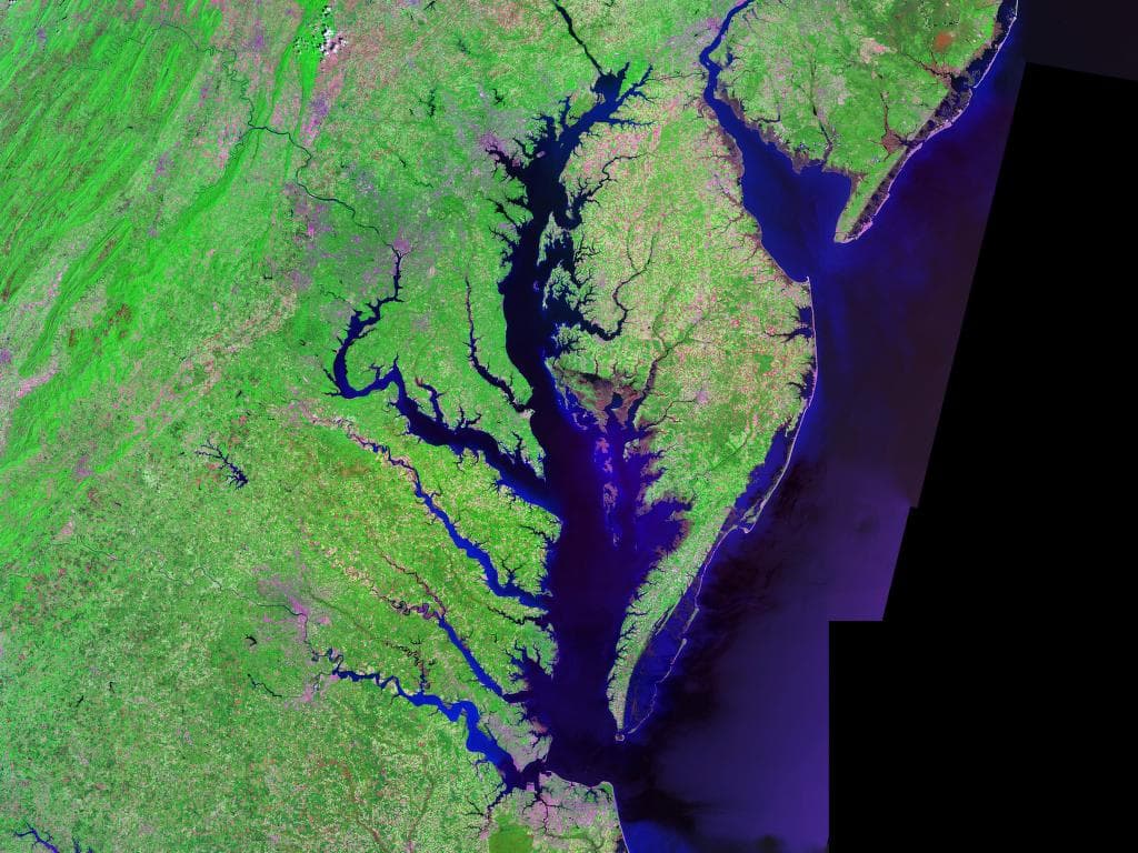 Chesapeake — illustrative view