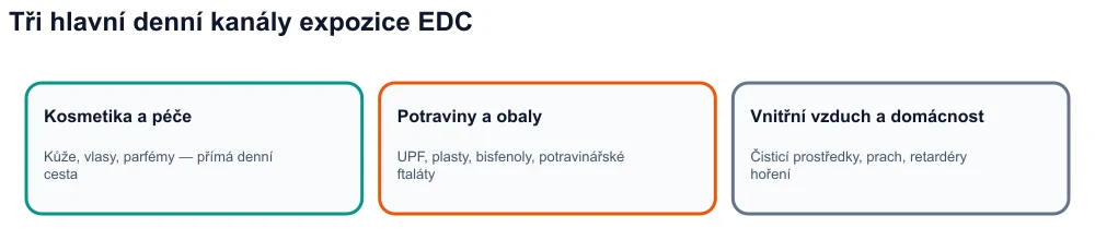 Infografika: tři kanály vystavení endokrinním disruptorům – kosmetika, ultrazpracované potraviny a obaly, vnitřní prostředí.