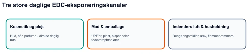 Infografik: tre eksponeringskanaler for hormonforstyrrende stoffer - kosmetik, ultraforarbejdet mad og emballage, indendørs miljø.