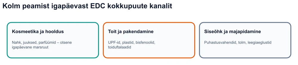 Infograafik: kolm sisesekretsioonisüsteemi kahjustaja kokkupuutekanalit — kosmeetika, ultratöödeldud toit ja pakendid, sisekeskkond.