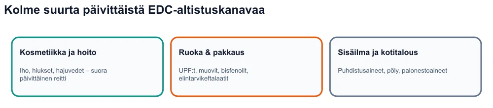 Infografiikka: kolme hormonitoimintaa häiritsevän aineen altistuskanavaa – kosmetiikka, ultraprosessoitu ruoka ja pakkaukset, sisäympäristö.