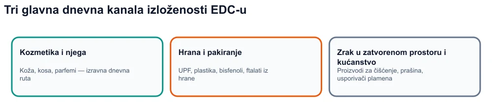 Infografika: tri kanala izloženosti endokrinom disruptoru — kozmetika, ultraprerađena hrana i ambalaža, unutarnji okoliš.