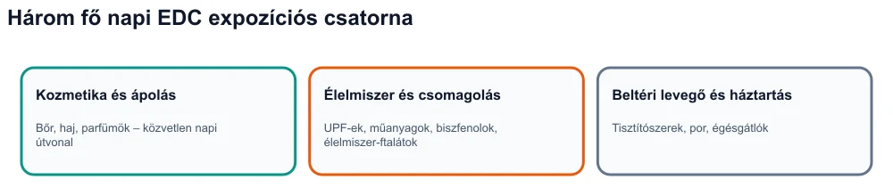 Infografika: három endokrin károsító expozíciós csatorna – kozmetikumok, ultra-feldolgozott élelmiszerek és csomagolások, beltéri környezet.