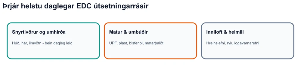 Infographic: þrjár útsetningarrásir fyrir innkirtlaröskun - snyrtivörur, ofurunninn matur og umbúðir, umhverfi innandyra.