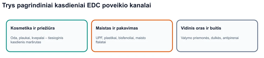 Infografija: trys endokrininę sistemą ardančių medžiagų poveikio kanalai – kosmetika, itin perdirbtas maistas ir pakuotės, patalpų aplinka.