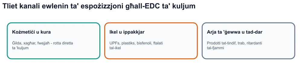 Infografika: tliet kanali ta 'espożizzjoni ta' disruptor endokrinali - kożmetiċi, ikel u ippakkjar ultra-proċessati, ambjent ta 'ġewwa.