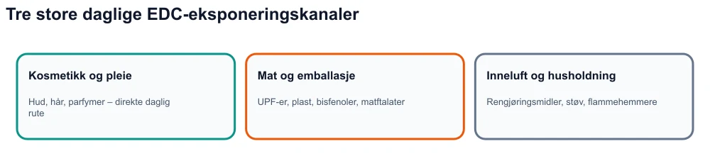 Infografikk: tre eksponeringskanaler for hormonforstyrrende stoffer - kosmetikk, ultrabehandlet mat og emballasje, innendørsmiljø.