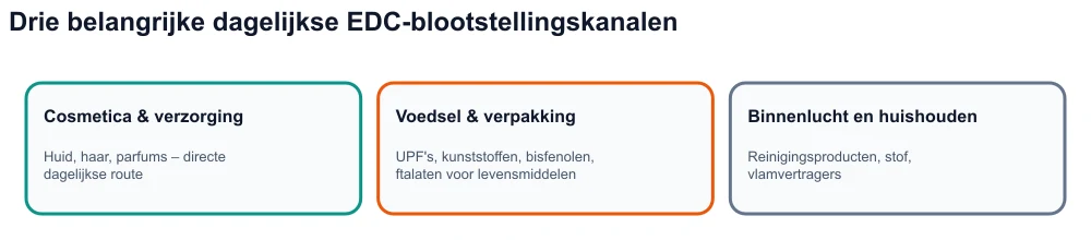 Infographic: drie kanalen voor blootstelling aan hormoonontregelaars: cosmetica, ultrabewerkte voedingsmiddelen en verpakkingen, binnenmilieu.