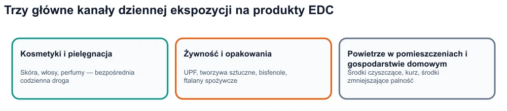 Infografika: trzy kanały narażenia na substancje zaburzające funkcjonowanie układu hormonalnego — kosmetyki, ultraprzetworzona żywność i opakowania, środowisko wewnętrzne.
