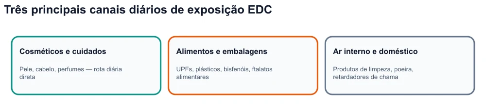 Infográfico: três canais de exposição aos disruptores endócrinos — cosméticos, alimentos e embalagens ultraprocessados, ambiente interno.