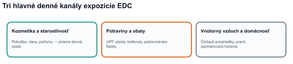 Infografika: tri kanály expozície endokrinných disruptorov – kozmetika, ultraspracované potraviny a obaly, vnútorné prostredie.