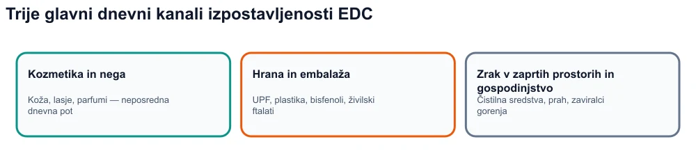 Infografika: trije kanali izpostavljenosti endokrinim motilcem – kozmetika, ultra predelana hrana in embalaža, notranje okolje.