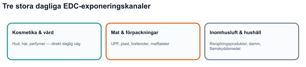 Infografik: tre exponeringskanaler för hormonstörande ämnen — kosmetika, ultrabearbetade livsmedel och förpackningar, inomhusmiljö.