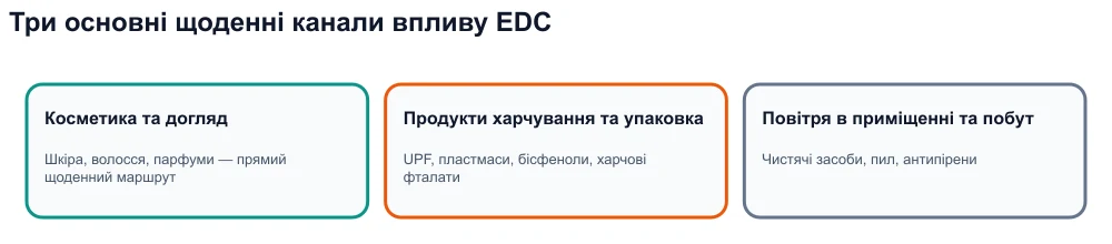 Інфографіка: три канали впливу ендокринних руйнівників — косметика, ультраоброблена їжа та упаковка, приміщення.