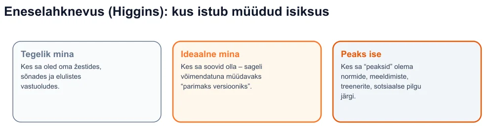 Diagramm Higginsi kolmest minast - tegelik, ideaalne, peaks - müüdud isiksusega ideaalse ja kõlbliku vahel