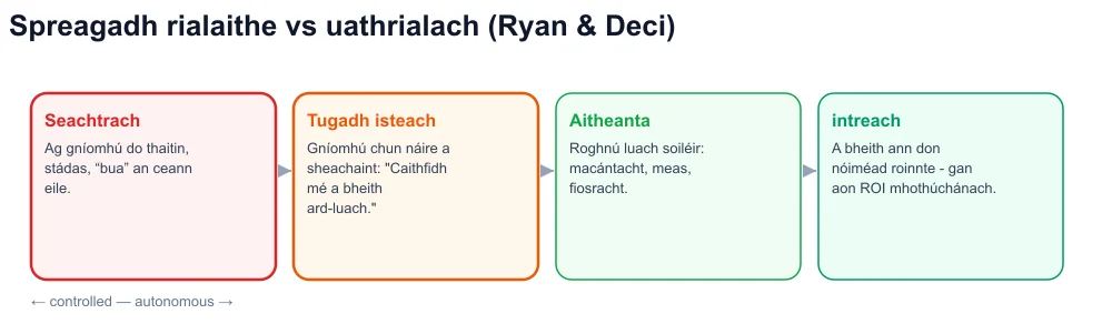 Leanúntas féinchinntiúcháin: seachtrach, isteach, sainaitheanta, intreach — oiliúint víreasach ar an taobh rialaithe