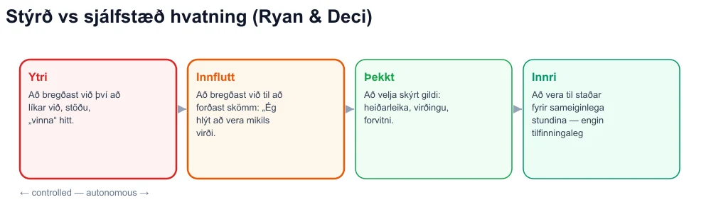 Sjálfsákvörðunarsamfella: ytri, innrætt, auðkennd, innri - veiruþjálfun á stjórnunarhliðinni