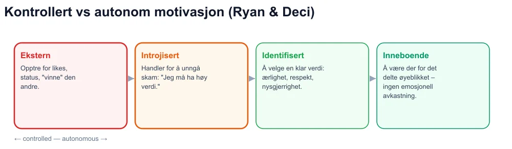 Selvbestemmelseskontinuum: ekstern, introjisert, identifisert, iboende – viral coaching på den kontrollerte siden