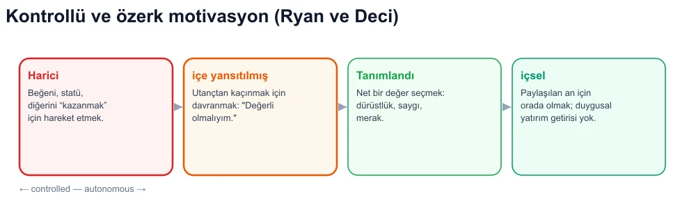 Kendi kaderini tayin süreci: dışsal, içe yansıtılmış, tanımlanmış, içsel – kontrollü tarafta viral koçluk